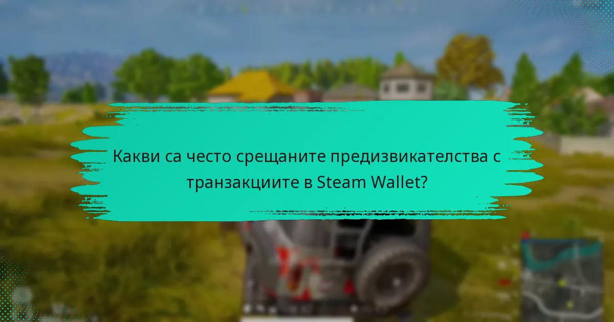 Какви са често срещаните предизвикателства с транзакциите в Steam Wallet?